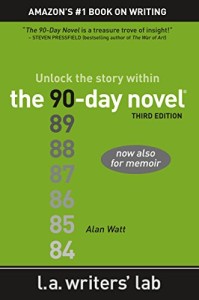 the 90 day novel